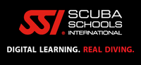 ssi logo