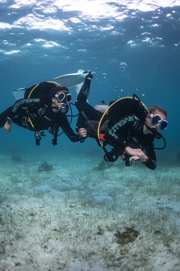 discover scuba diving